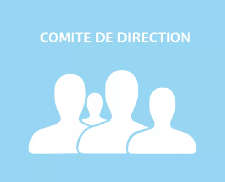 Comité de direction
