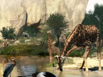 Le Parc Zoologique de Paris