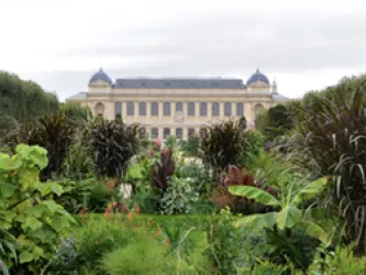 Le jardin des plantes